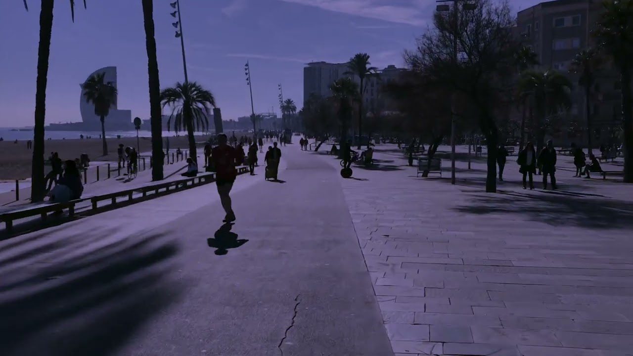 app-playas-barcelona - Baleares Noticias 24h app playas barcelona