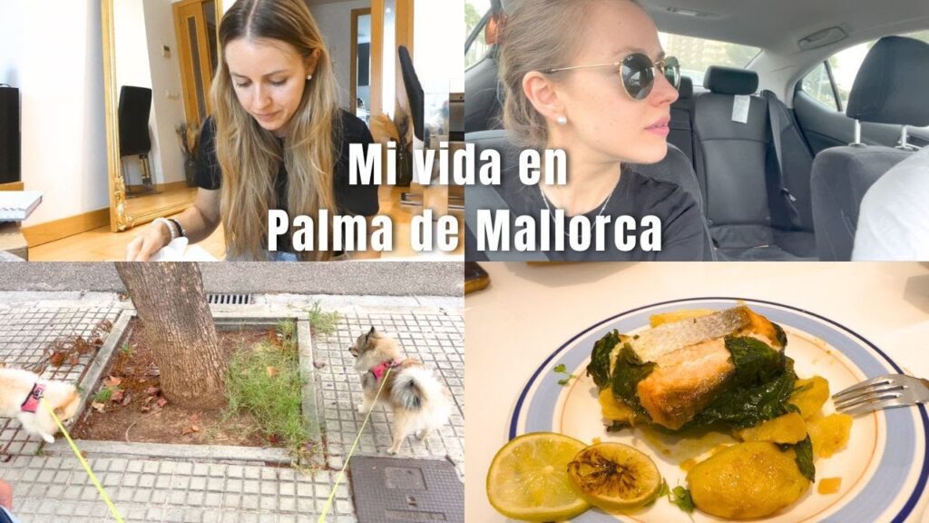 palma de mallorca registro civil