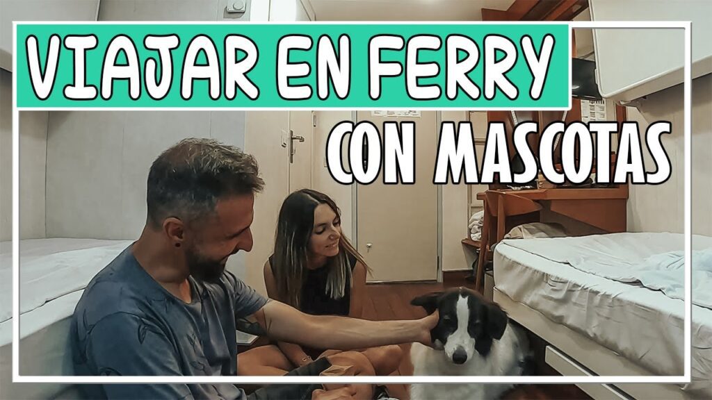 viajar a mallorca en barco con perro