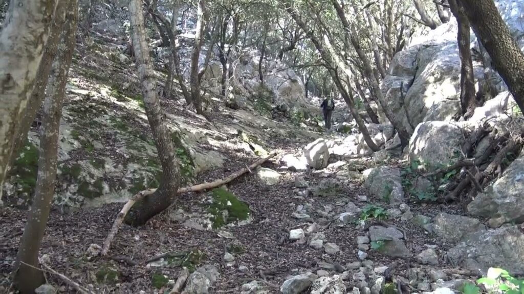 07034 Mancor de la Vall
