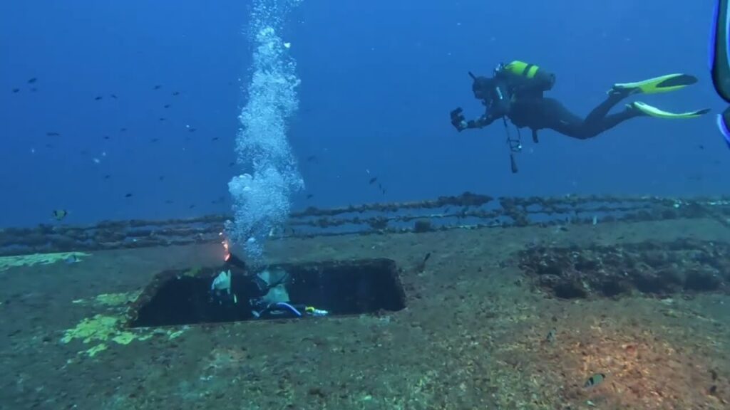 Cómo descubrir los fondos marinos de Ibiza con buceo nocturno
