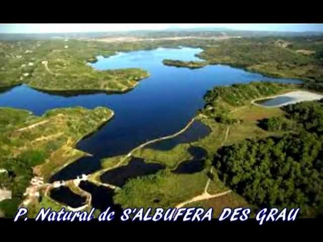 Los-jardines-y-espacios-naturales-mas-bonitos-de-Mallorca - Baleares Noticias 24h Los jardines y espacios naturales más bonitos de Mallorca