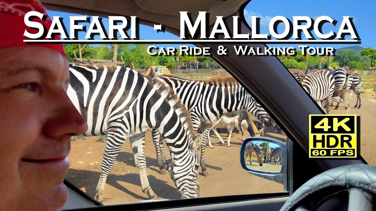 palma-de-mallorca-zoo - Baleares Noticias 24h palma de mallorca zoo