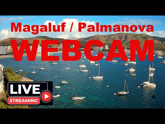 playas-mallorca-webcam - Baleares Noticias 24h playas mallorca webcam