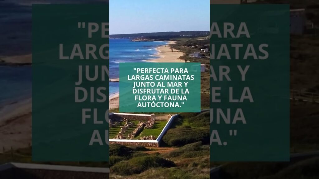 Dónde encontrar arena dorada y aguas turquesas en Menorca