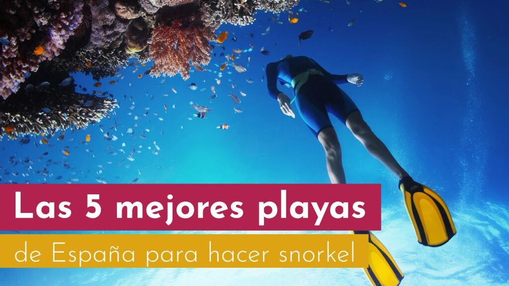 Las mejores playas de Mallorca para practicar snorkel