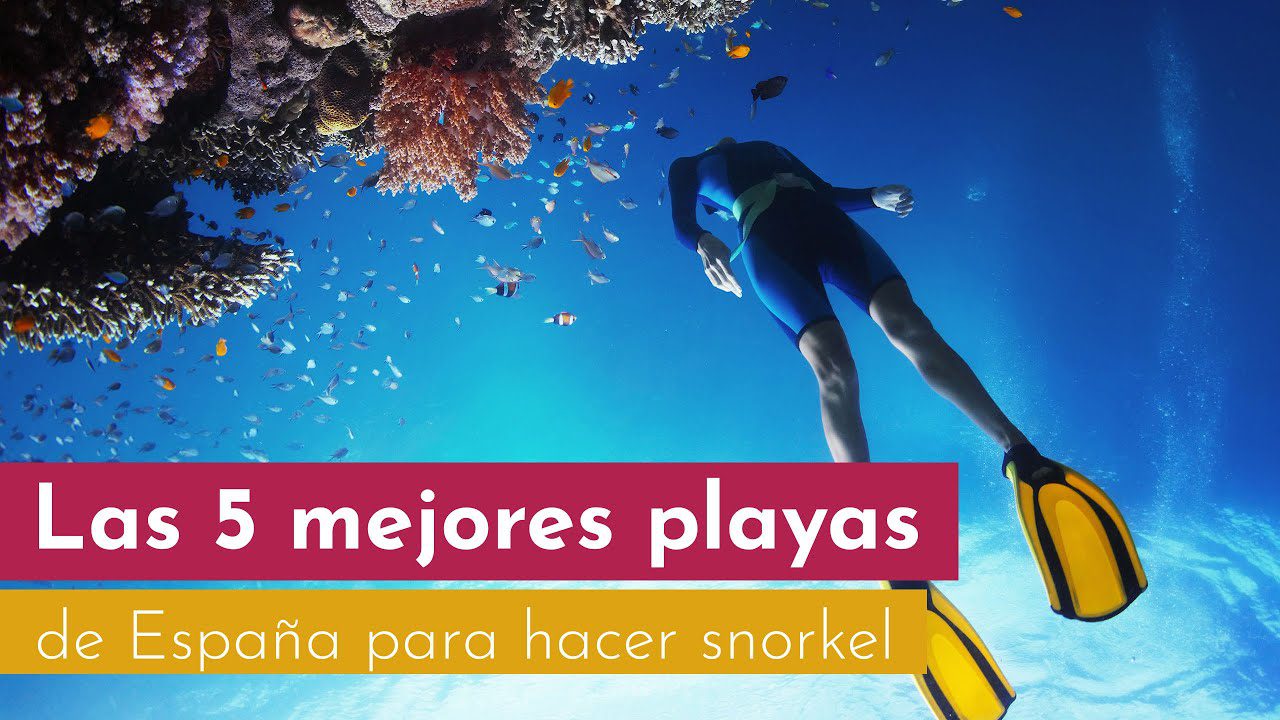 Las-mejores-playas-de-Mallorca-para-practicar-snorkel - Baleares Noticias 24h Las mejores playas de Mallorca para practicar snorkel