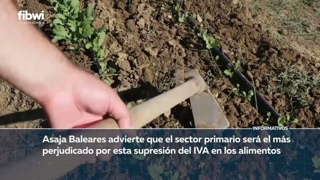 islas baleares tiene iva