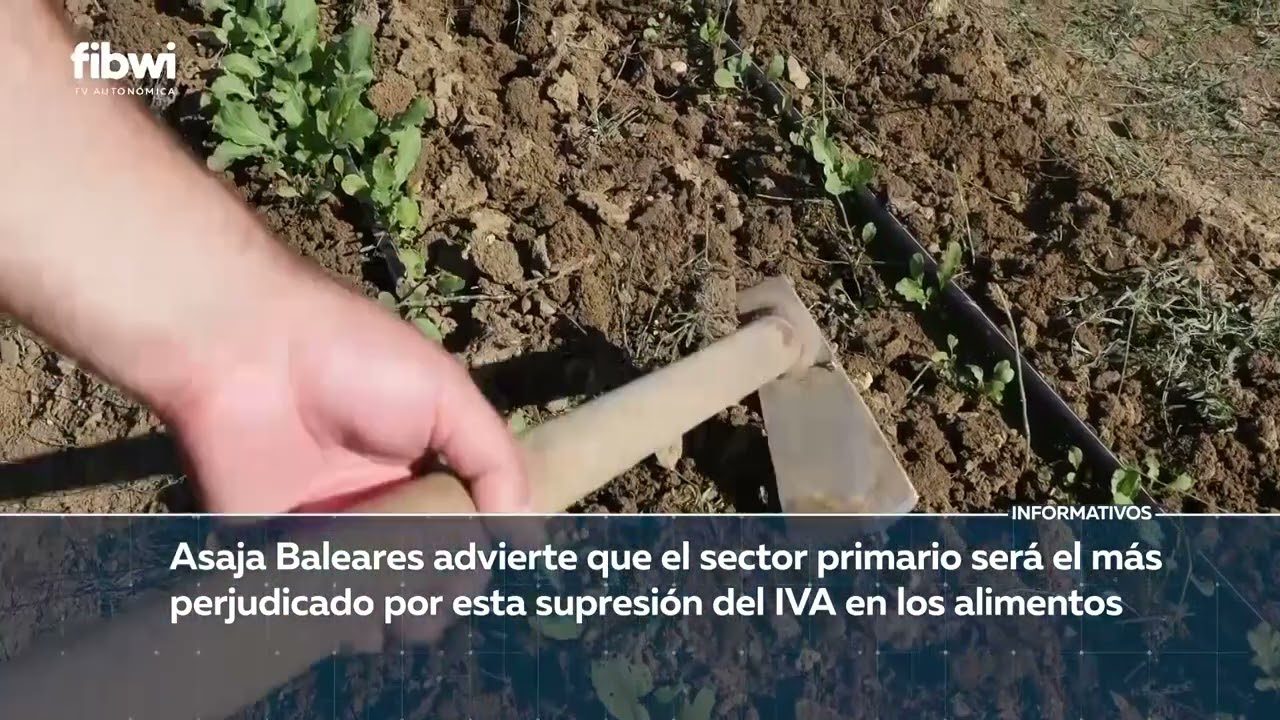 islas-baleares-tiene-iva - Baleares Noticias 24h islas baleares tiene iva