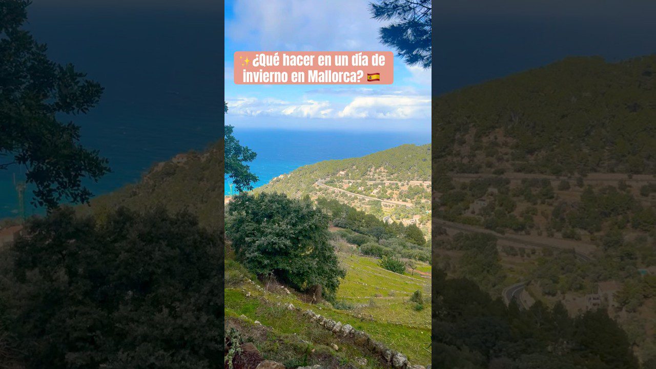 palma de mallorca que hacer en invierno