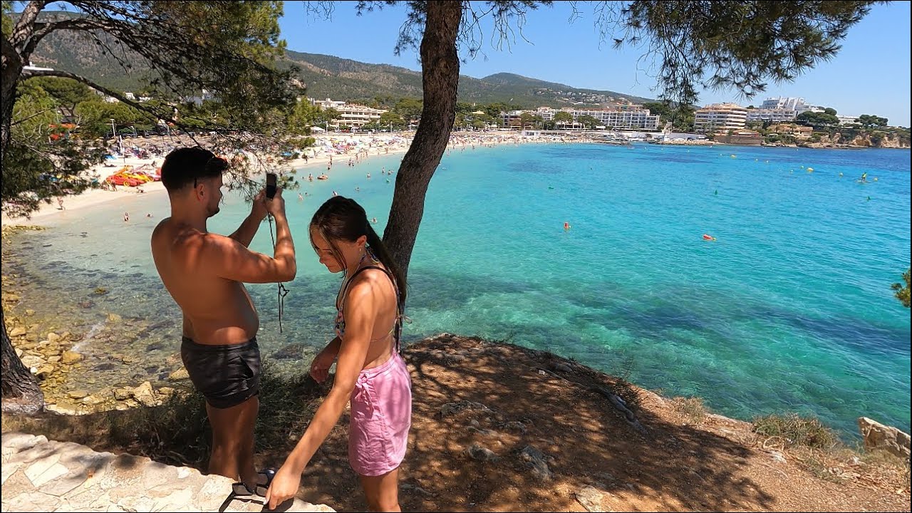 playas-perros-mallorca-2022 - Baleares Noticias 24h playas perros mallorca 2022