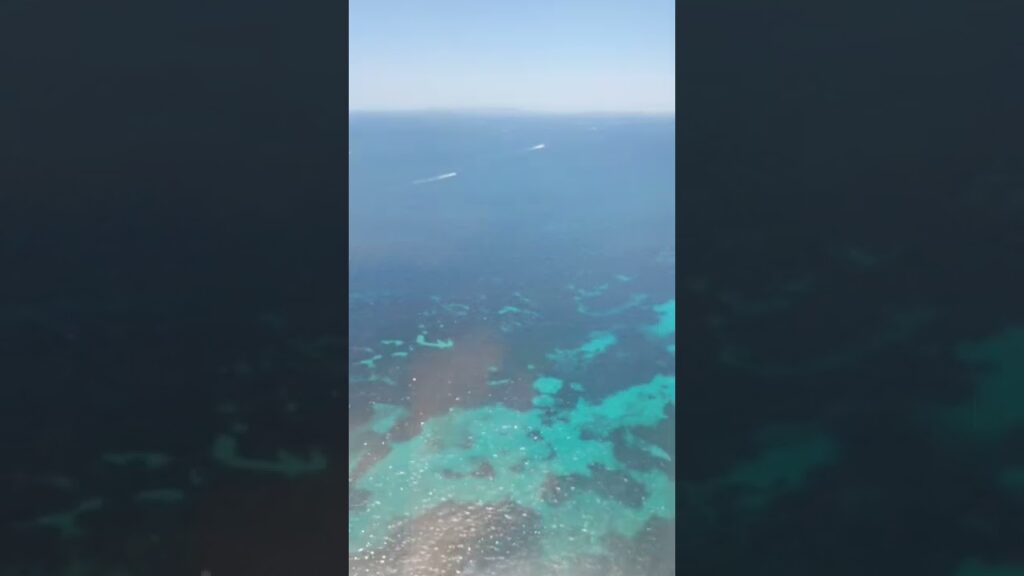 ibiza en tiempo real