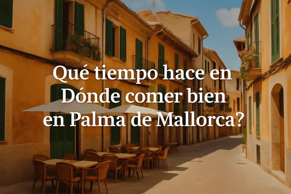 qué tiempo hace en Dónde comer bien en Palma de Mallorca